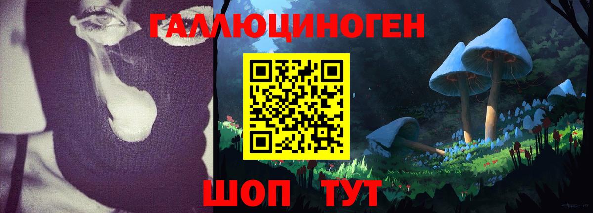 купить наркотики сайты  Псилоцибиновые грибы мицелий  Вход с VPN  Барнаул 